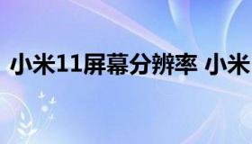 小米11屏幕分辨率 小米11屏幕分辨率区别）