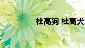 杜高狗 杜高犬的优缺点）