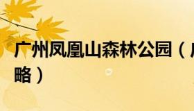 广州凤凰山森林公园（广州凤凰山森林公园攻略）