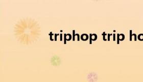 triphop trip hop代表歌曲）