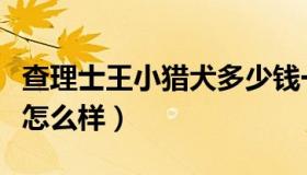 查理士王小猎犬多少钱一只（查理士王小猎犬怎么样）