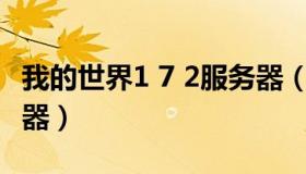 我的世界1 7 2服务器（我的世界1.17.32服务器）