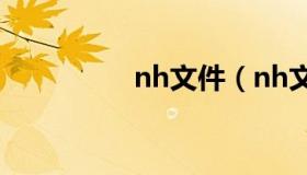 nh文件（nh文件怎么看