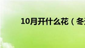 10月开什么花（冬天都开什么花）