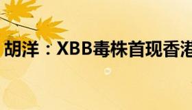 胡洋：XBB毒株首现香港（免疫逃逸能力强）