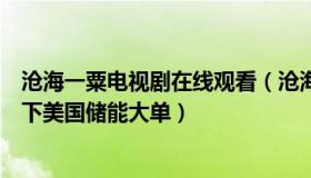 沧海一粟电视剧在线观看（沧海一粟四海平生：宁德时代签下美国储能大单）