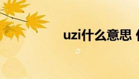 uzi什么意思 什么叫uzi