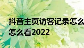 抖音主页访客记录怎么看 抖音主页访客记录怎么看2022