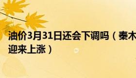 油价3月31日还会下调吗（秦木子：油价或将在1月3日24时迎来上涨）