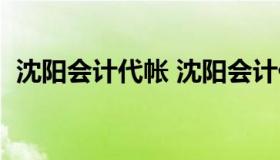 沈阳会计代帐 沈阳会计代账一个月多少钱）