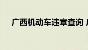 广西机动车违章查询 广西汽车违章查询