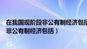 在我国现阶段非公有制经济包括在法律规定（在我国现阶段非公有制经济包括）