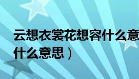 云想衣裳花想容什么意思?（云想衣裳花想容什么意思）