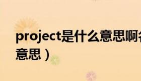 project是什么意思啊名词（project是什么意思）