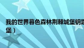 我的世界暮色森林荆棘城堡钥匙（我的世界暮色森林荆棘城堡）