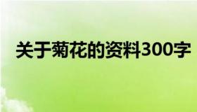 关于菊花的资料300字（关于菊花的资料）