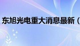 东旭光电重大消息最新（东旭光电重大消息）