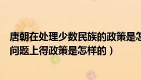 唐朝在处理少数民族的政策是怎样的（唐朝在处理少数民族问题上得政策是怎样的）