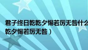 君子终日乾乾夕惕若厉无咎什么意思 百度知道（君子终日乾乾夕惕若厉无咎）