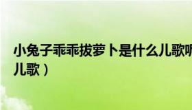 小兔子乖乖拔萝卜是什么儿歌呢（小兔子乖乖拔萝卜是什么儿歌）