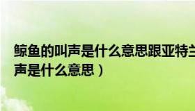 鲸鱼的叫声是什么意思跟亚特兰蒂斯是什么关系（鲸鱼的叫声是什么意思）