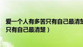 爱一个人有多苦只有自己最清楚是什么歌（爱一个人有多苦只有自己最清楚）