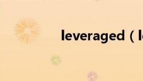 leveraged（leverage）