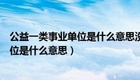 公益一类事业单位是什么意思没有编制呢（公益一类事业单位是什么意思）