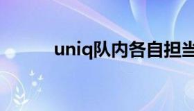 uniq队内各自担当（uniq队长）