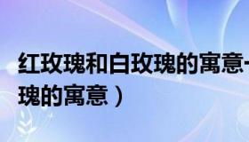 红玫瑰和白玫瑰的寓意一样吗（红玫瑰和白玫瑰的寓意）