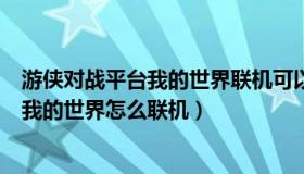 游侠对战平台我的世界联机可以装fabric吗（游侠对战平台我的世界怎么联机）