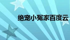 绝宠小冤家百度云（绝宠小冤家）