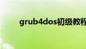 grub4dos初级教程（grub4dos）