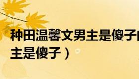 种田温馨文男主是傻子的小说（种田温馨文男主是傻子）