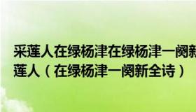 采莲人在绿杨津在绿杨津一阕新一阕新歌声漱玉歌声漱玉采莲人（在绿杨津一阕新全诗）