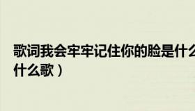 歌词我会牢牢记住你的脸是什么歌（我会牢牢记住你的脸是什么歌）