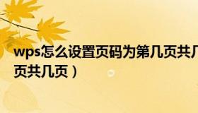 wps怎么设置页码为第几页共几页（wps页码怎么设置第几页共几页）