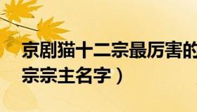 京剧猫十二宗最厉害的宗是什么（京剧猫12宗宗主名字）