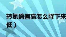 转氨酶偏高怎么降下来?（转氨酶偏高怎么降低）