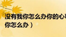 没有我你怎么办你的心事还有谁明白（没有我你怎么办）