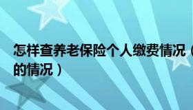 怎样查养老保险个人缴费情况（怎样查询个人养老保险缴纳的情况）