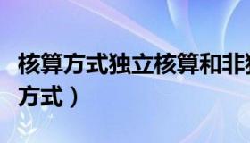 核算方式独立核算和非独立核算哪个好（核算方式）