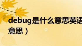 debug是什么意思英语翻译（debug是什么意思）