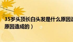 35岁头顶长白头发是什么原因造成的（头顶长白头发是什么原因造成的）