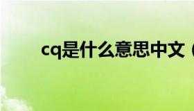 cq是什么意思中文（cqy什么意思）