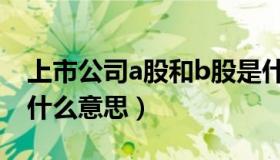 上市公司a股和b股是什么意思（a股和b股是什么意思）