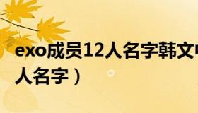 exo成员12人名字韩文中文英文（exo成员12人名字）