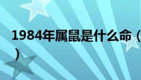 1984年属鼠是什么命（1996年属鼠是什么命）