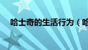 哈士奇的生活行为（哈士奇的生活习性）