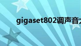 gigaset802调声音大小（gigaset）